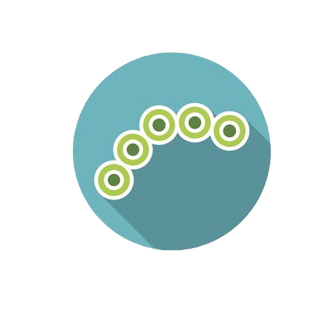 Streptococcus, Staphylococcus aureus